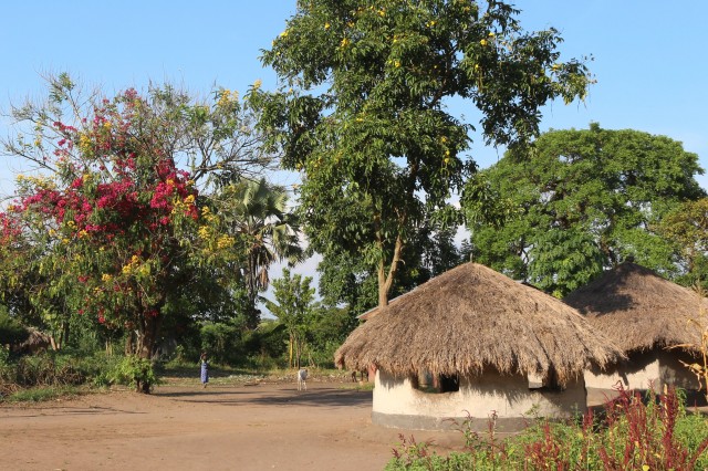 Houses in northern Uganda