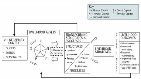 Sustainable livelihoods framework