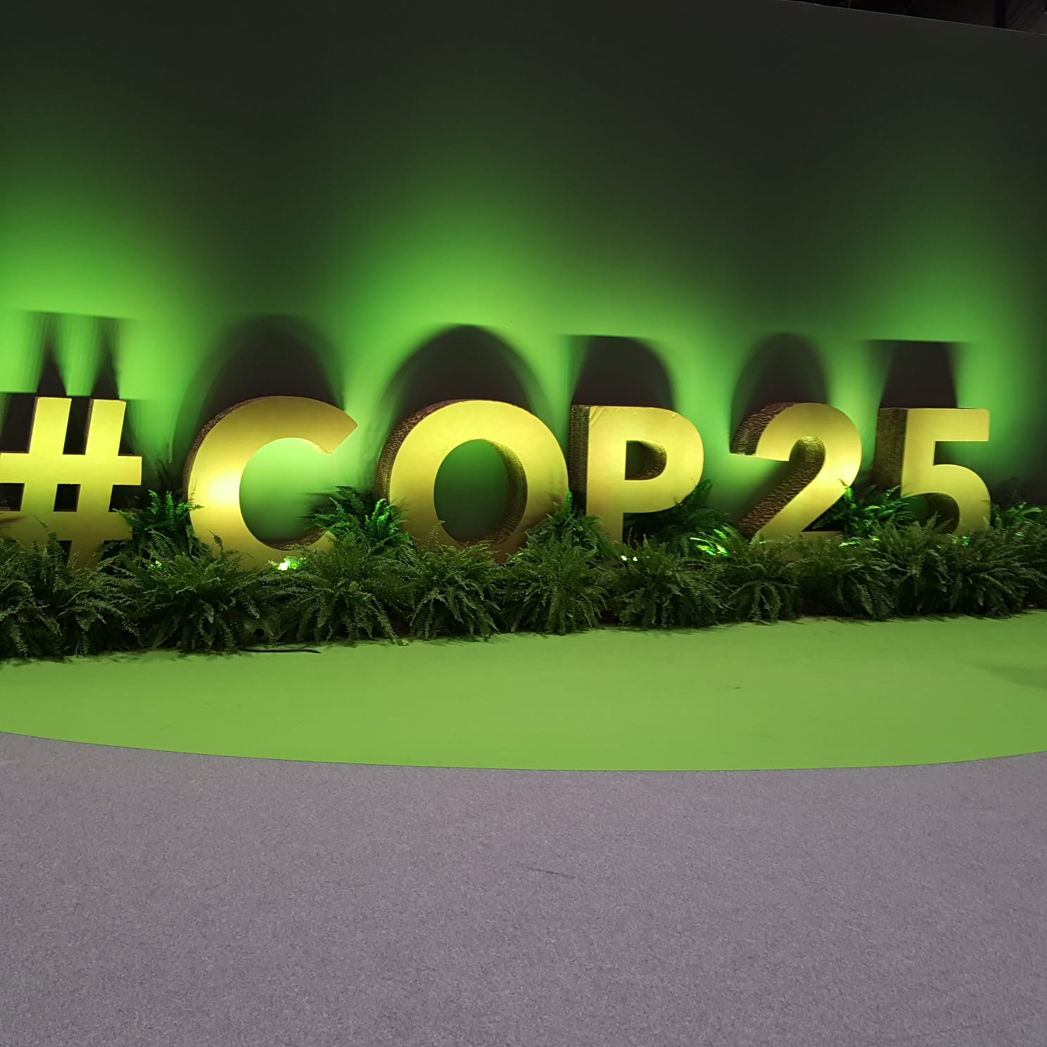 COP25, Madrid | Evidence for Development